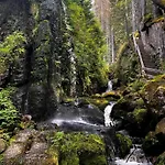 Am Berg *