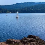 Am Berg Feldberg (Baden-Wurttemberg)