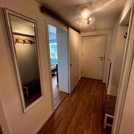 Am Berg Feldberg (Baden-Wurttemberg)