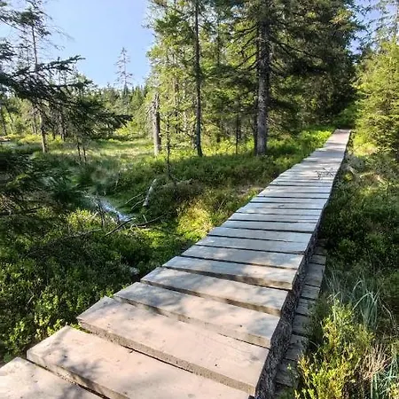 Am Berg * Feldberg (Baden-Wurttemberg)
