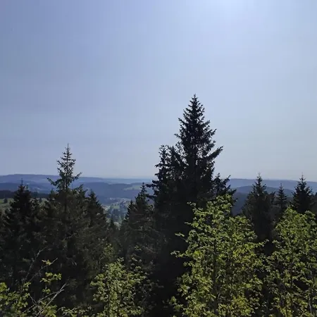 Am Berg * Feldberg (Baden-Wurttemberg)