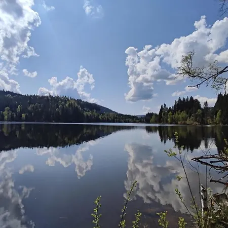 Am Berg * Feldberg (Baden-Wurttemberg)