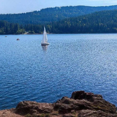 Am Berg Feldberg (Baden-Wurttemberg)