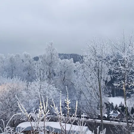 Apartamento Am Berg Feldberg (Baden-Wurttemberg)
